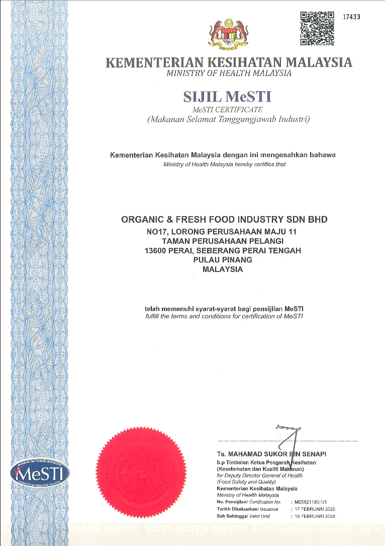 MeSTI Certificate, page 1